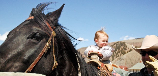 baby cowgirl has big grin while sitting atop black quarter horse