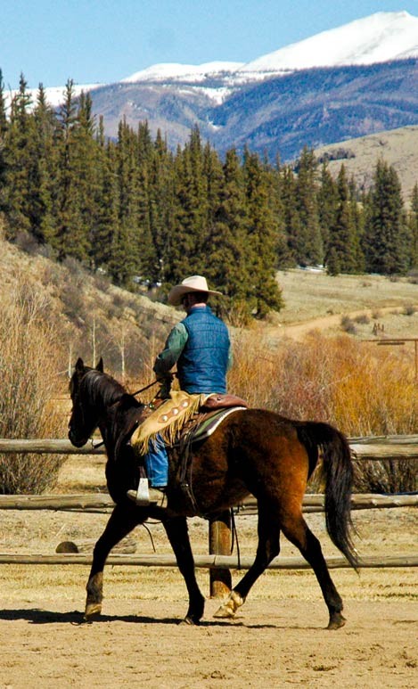 Wrangler trotting on bay horse in arena with rocky mountain background