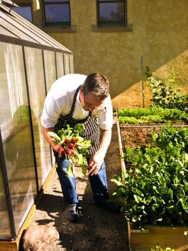 chef harvesting beets in mountain air for guest ranch soup