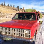 old 1985 GMC feed truck travels down ranch road full of hay