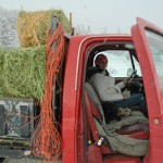 pregnant woman drives loaded red hay truck to horses in snow