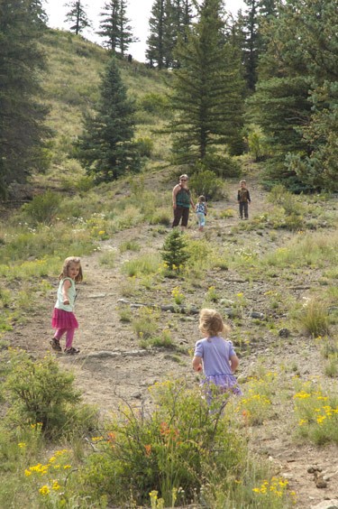 grandmother and three grandchildren climb a Colorado Mountain trail among many bright wildflowers