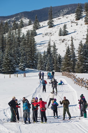 group of skiers wait for instruction at bottom of hill