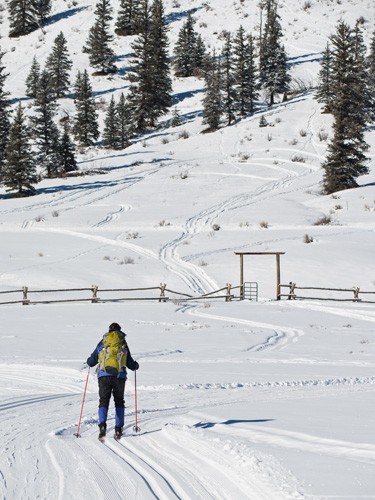 cross-country skier heads up hill of groomed rocky mountain ranch trail