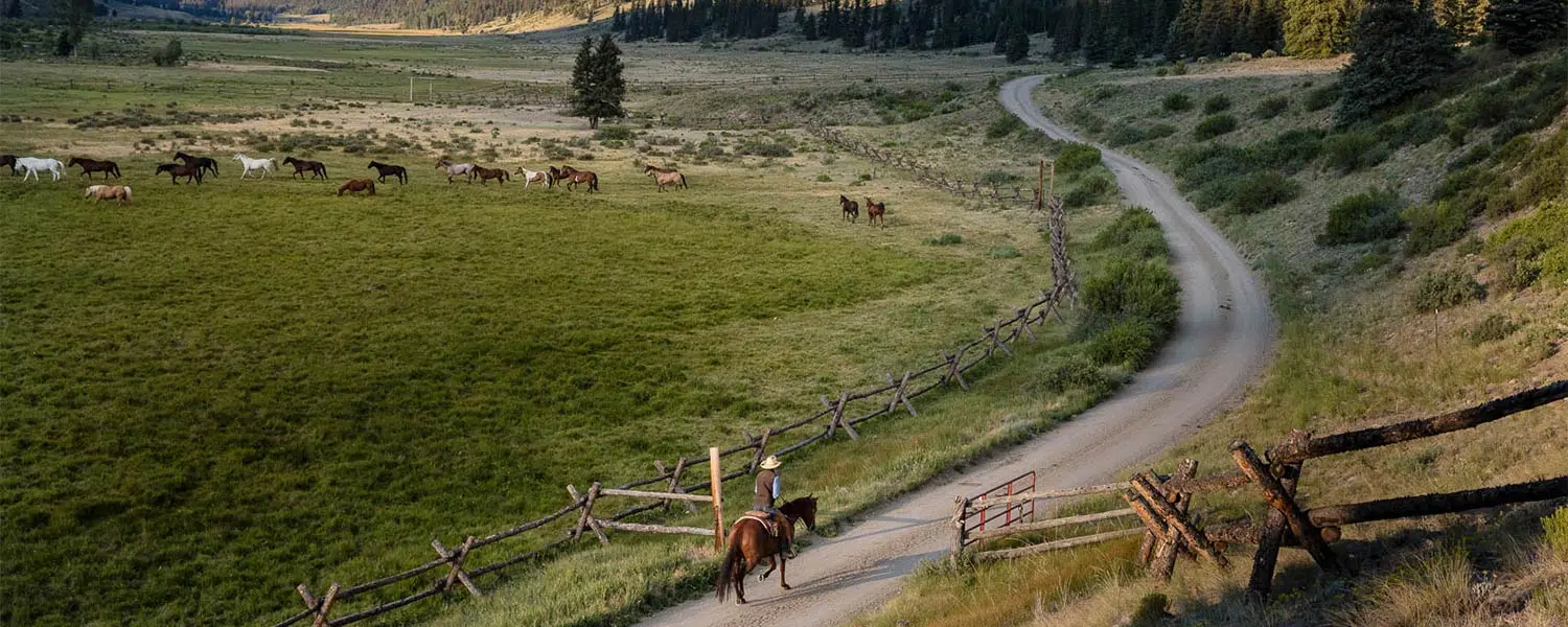 Cowboy on the road with horses in pasture