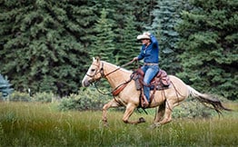 All Inclusive Colorado Luxury Guest Ranch Vacation - 4UR Ranch