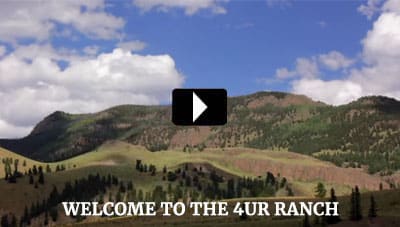 Welcome to the 4UR Ranch Video Link