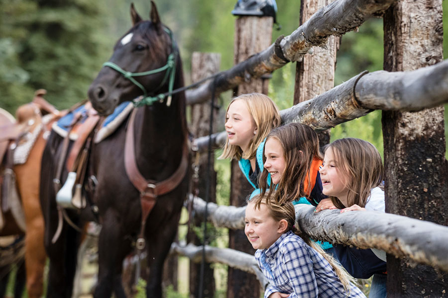 horse and kids by fence
