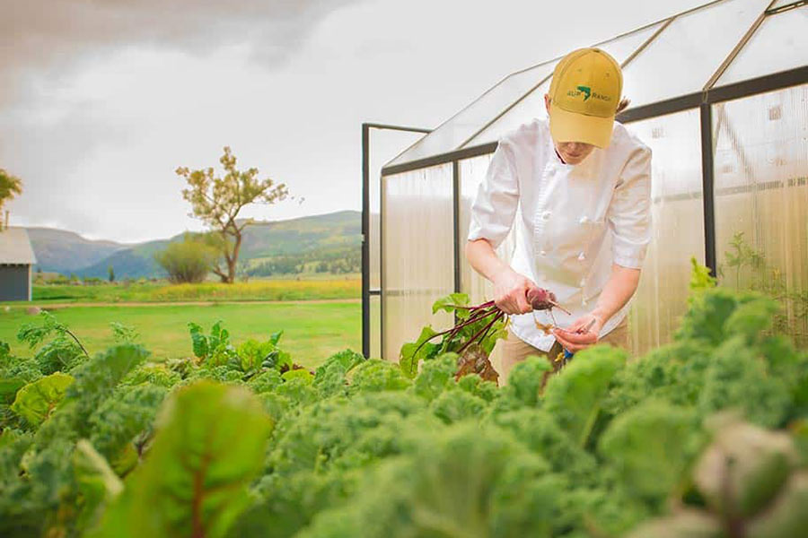 Chef Liz in Garden