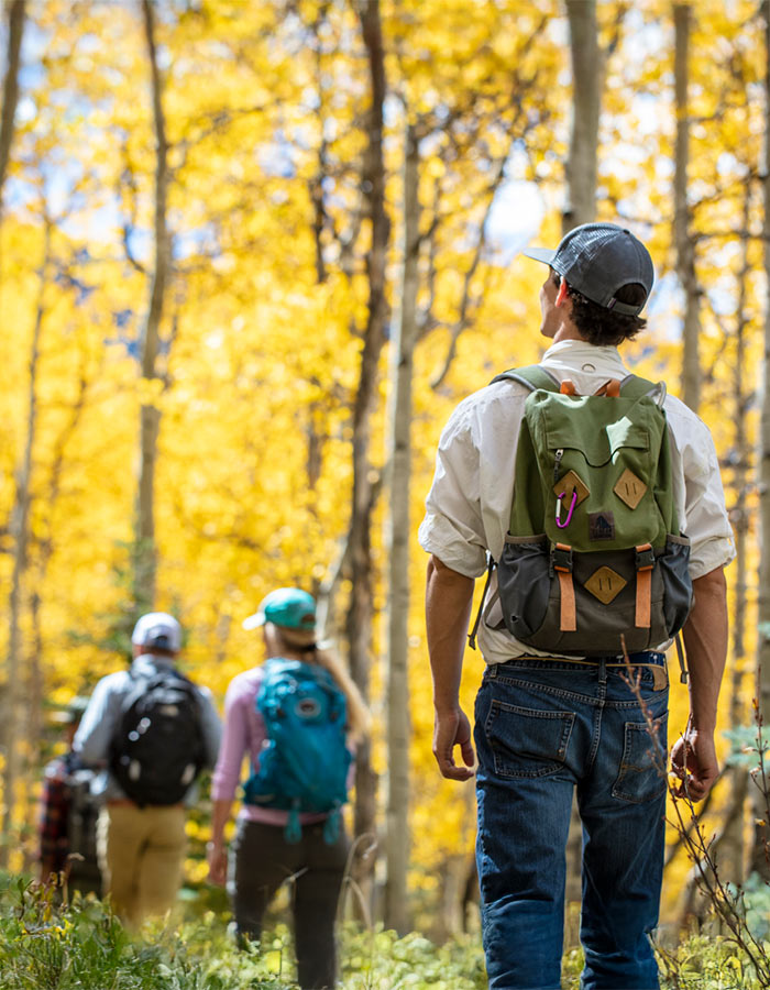 people hiking