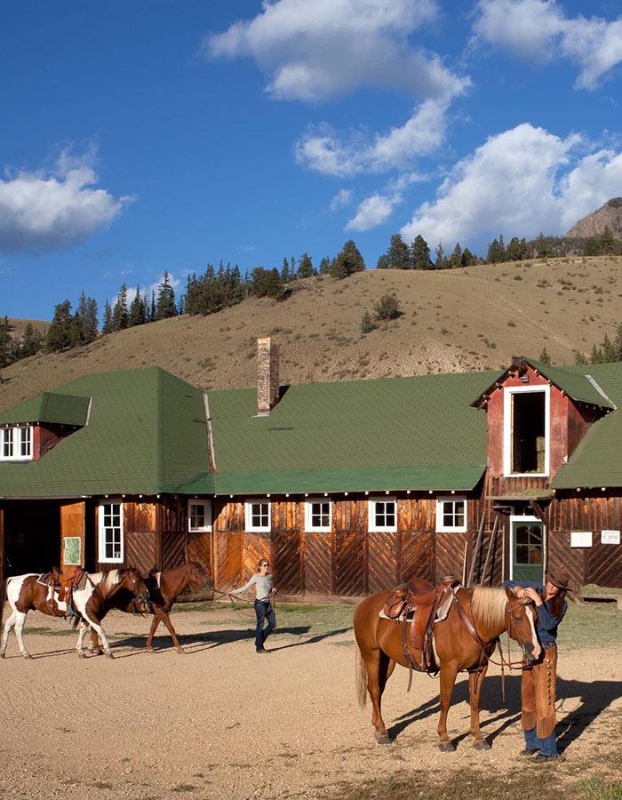 preparing horses