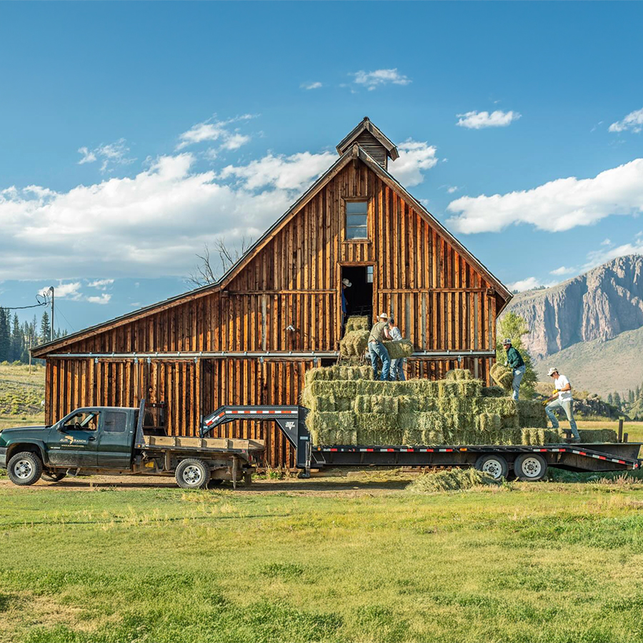 ranch hands loading hay
