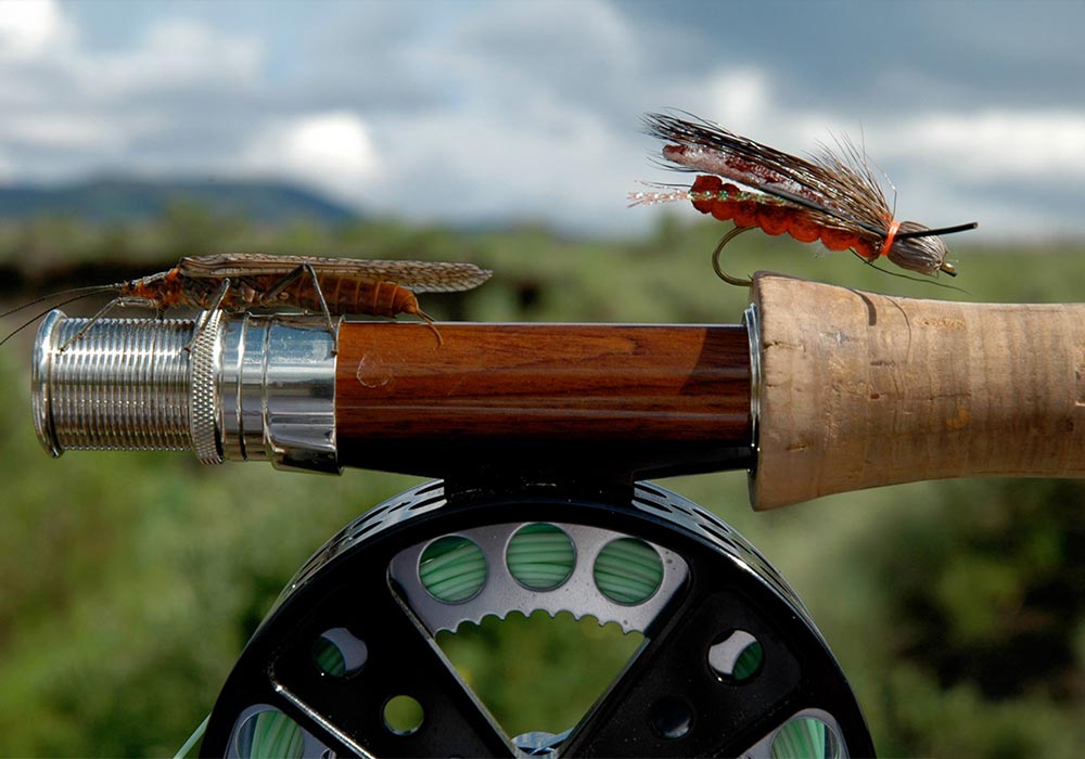 fly and pole