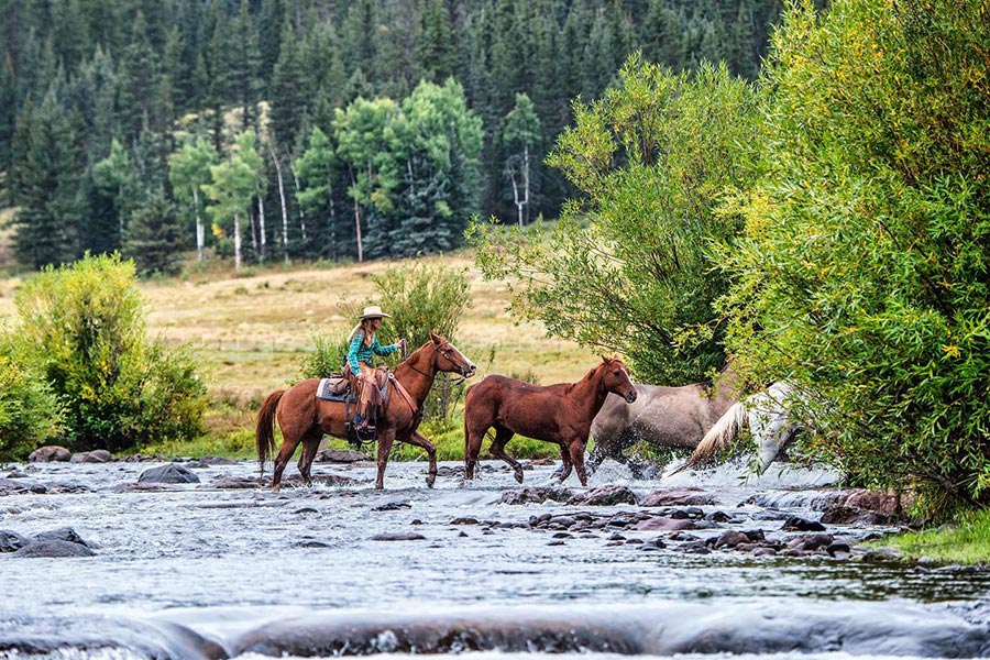 leading horses across river