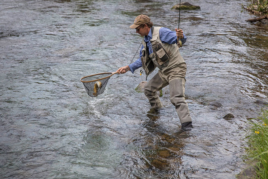 Man netting fish