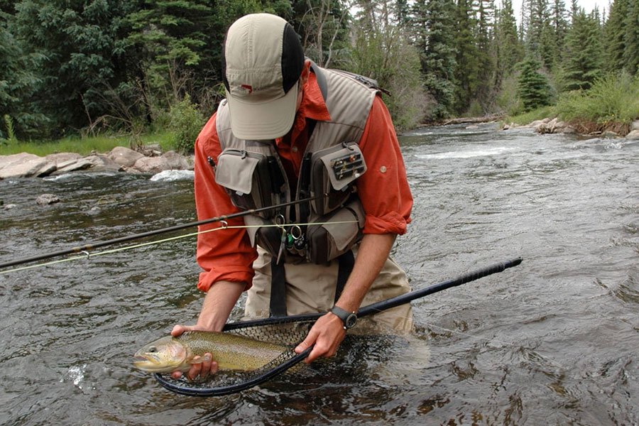fishermen in river with fish