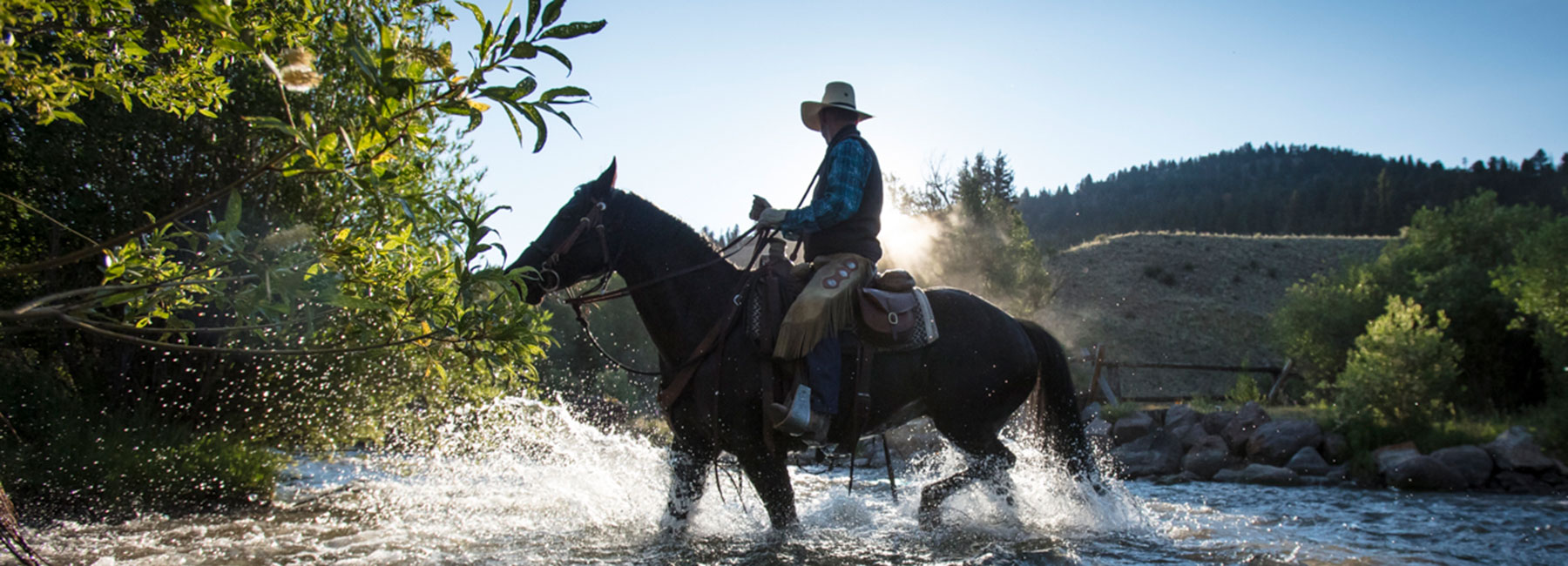 wrangler crossing river on horseback
