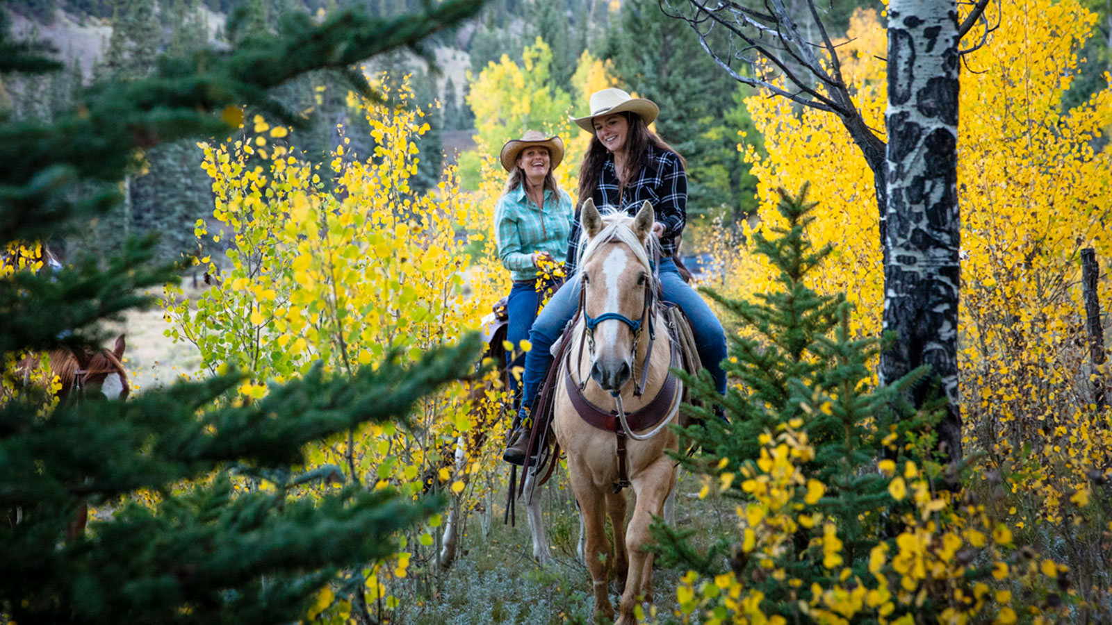 ladies on horseback through aspen