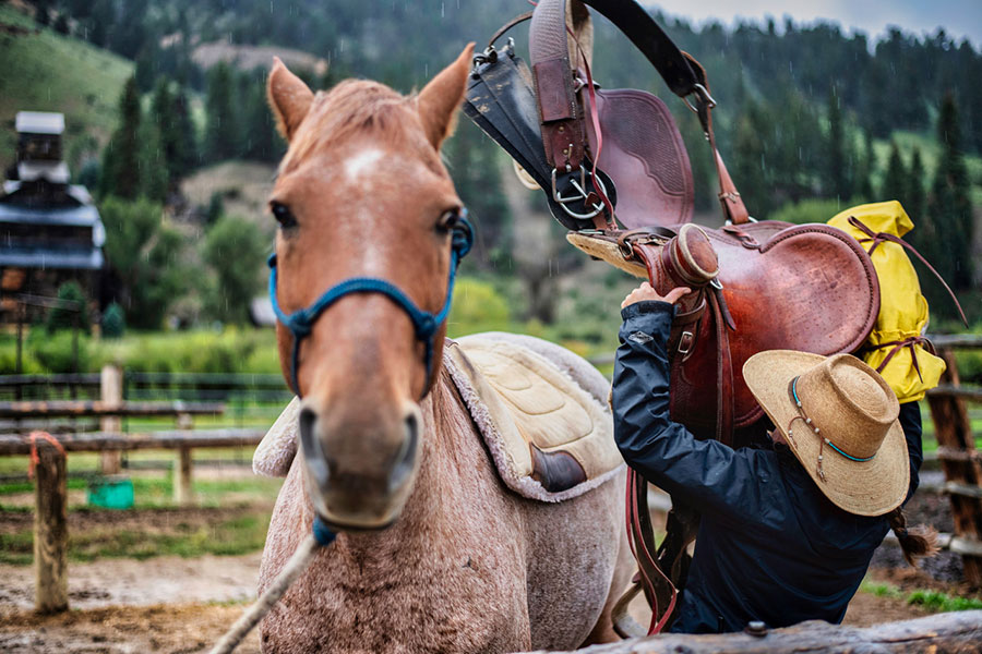 wrangler saddling in the rain