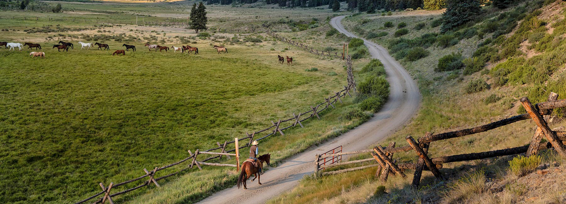 wrangler riding on ranch