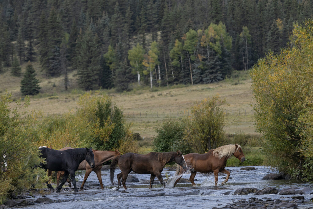 4 UR_CO_C1A3991 copy